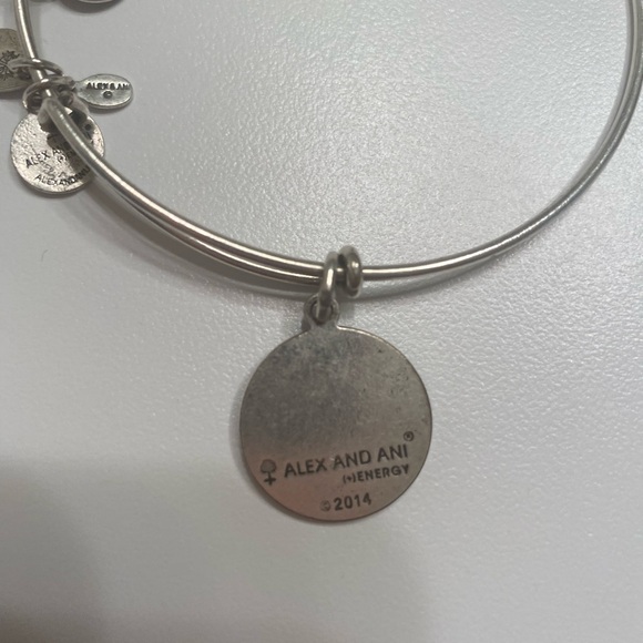 Alex and Ani Energy Adjustable Bracelet in Rafaelian Silver - Picture 3 of 3